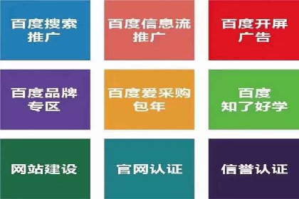 成功案例：SEM竞价代运营助力品牌崛起